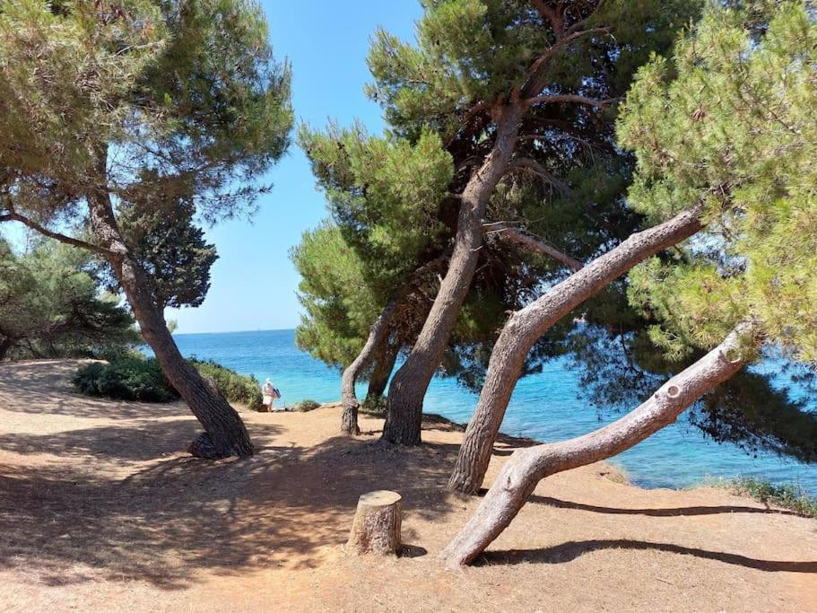 My Place - 1 Minuto Dal Mare * Pula
